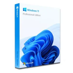Windows 11 Professional