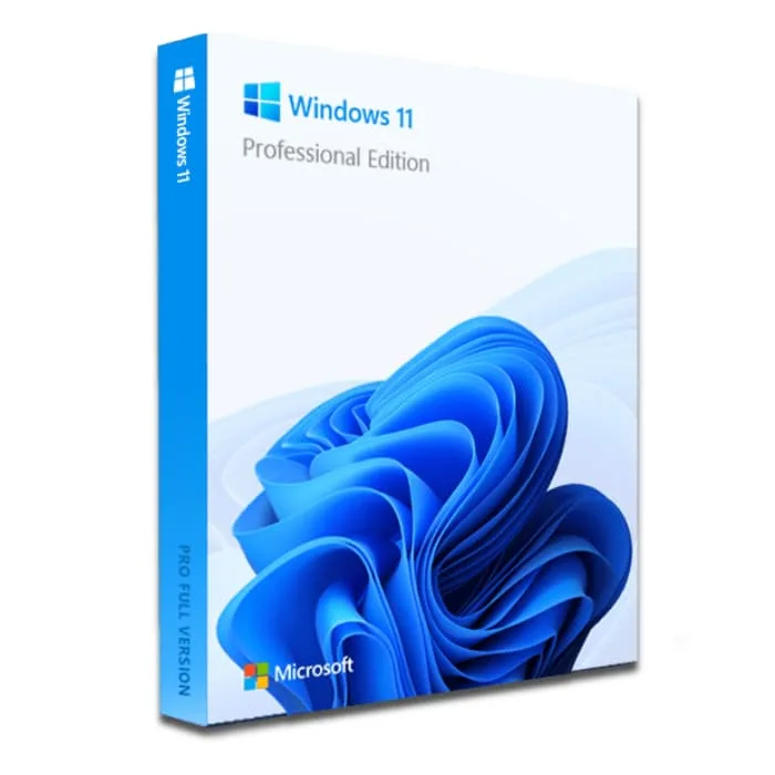 Windows 11 Professional