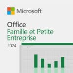 Office 2024 Home and Business