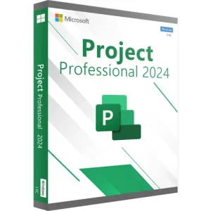 Project 2024 Professional (bind)
