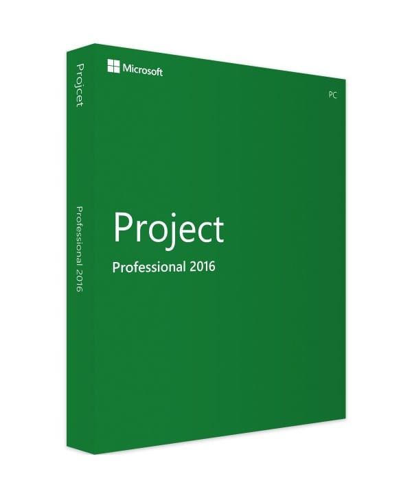 Project 2016 Professional