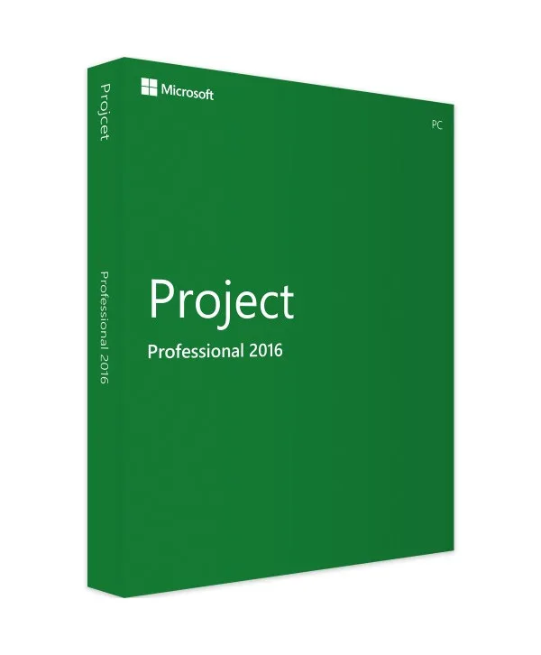 Project 2016 Professional
