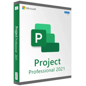 Project 2021 Professional