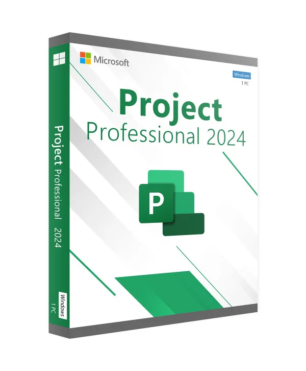 Project 2024 Professional
