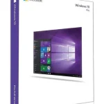 Windows 10 Professional