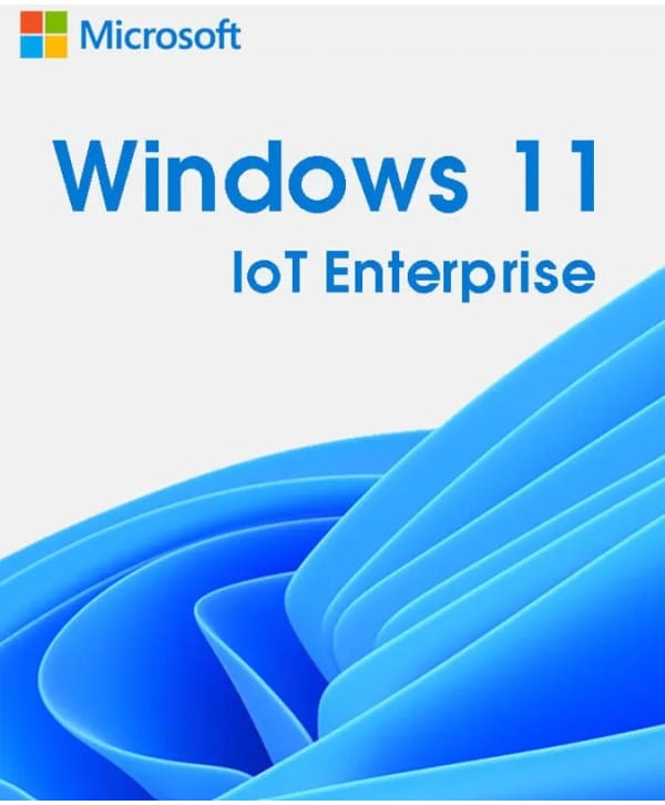 Windows 11 IoT Enterprise