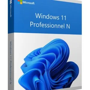 Windows 11 Professional N